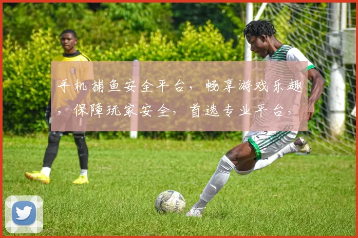 手机捕鱼安全平台，畅享游戏乐趣，保障玩家安全，首选专业平台，两重保障，放心娱乐