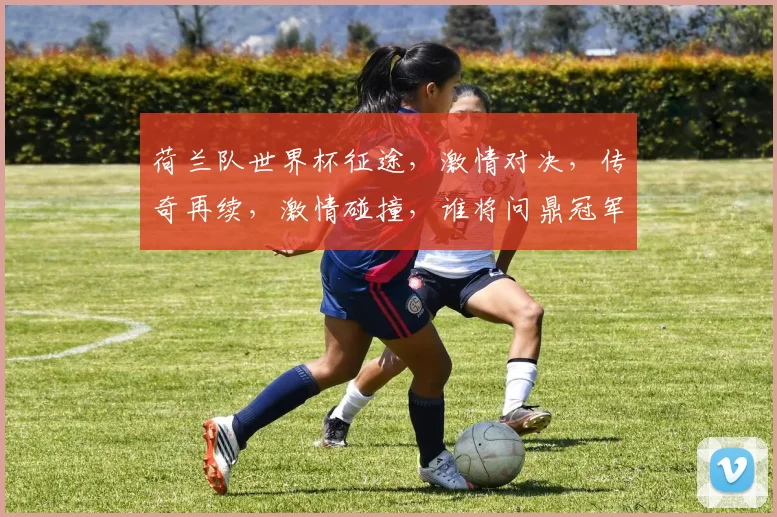 荷兰队世界杯征途，激情对决，传奇再续，激情碰撞，谁将问鼎冠军