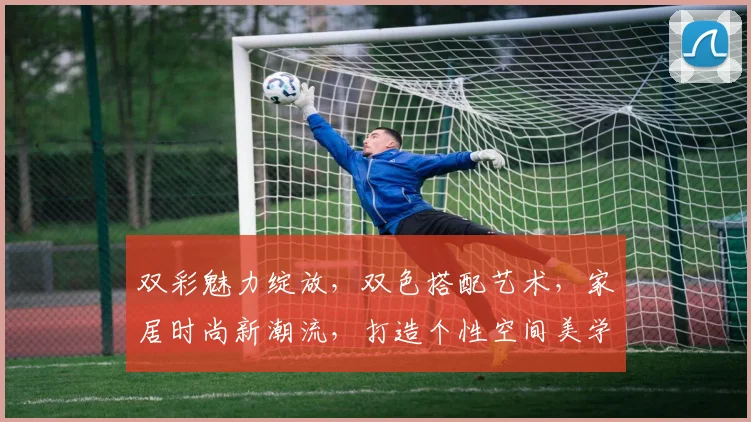 双彩魅力绽放，双色搭配艺术，家居时尚新潮流，打造个性空间美学，引领家居时尚潮流。