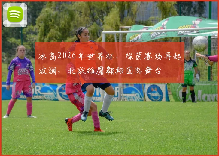 冰岛2026年世界杯，绿茵赛场再起波澜，北欧雄鹰翱翔国际舞台