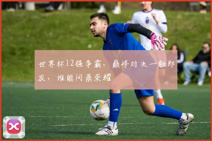 世界杯12强争霸，巅峰对决一触即发，谁能问鼎荣耀