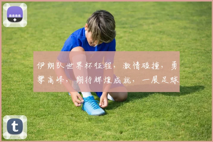 伊朗队世界杯征程，激情碰撞，勇攀高峰，期待辉煌成就，一展足球魅力