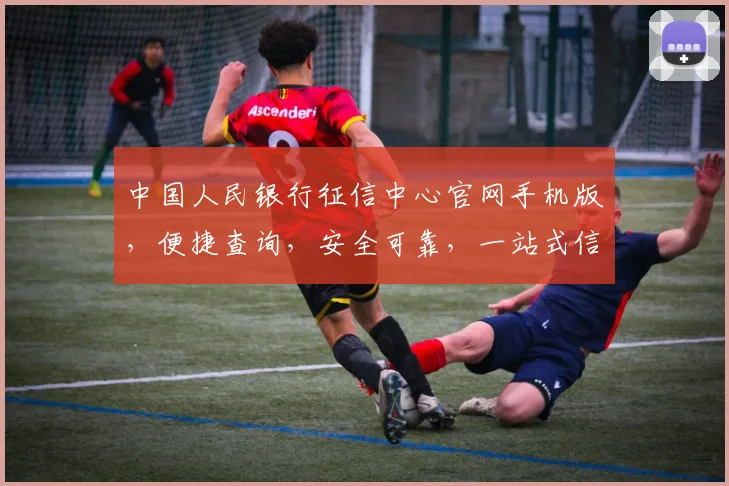 中国人民银行征信中心官网手机版，便捷查询，安全可靠，一站式信用服务，三步轻松获取